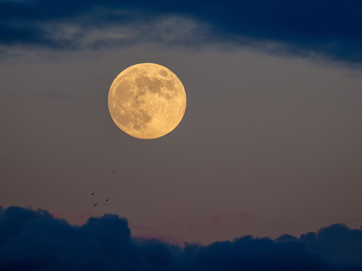 Los telescopios del observatorio Galileo Galilei mostrarán la luna llena a los venadenses 