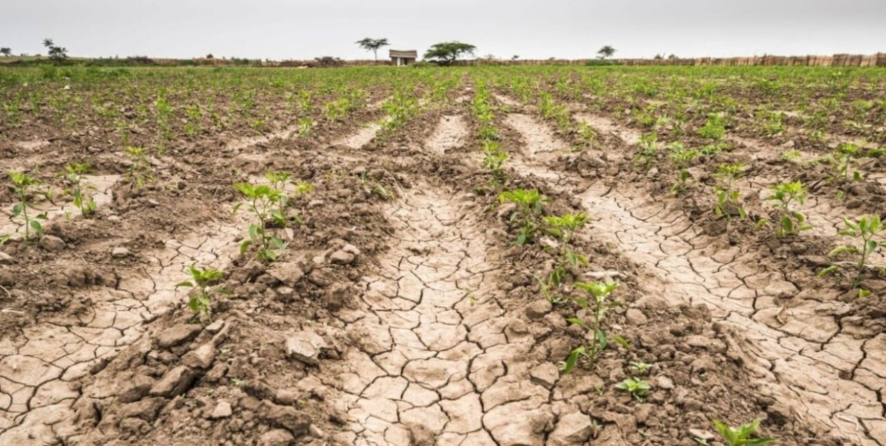 APRUSFE le pide al gobierno provincial que decrete el “desastre agropecuario”