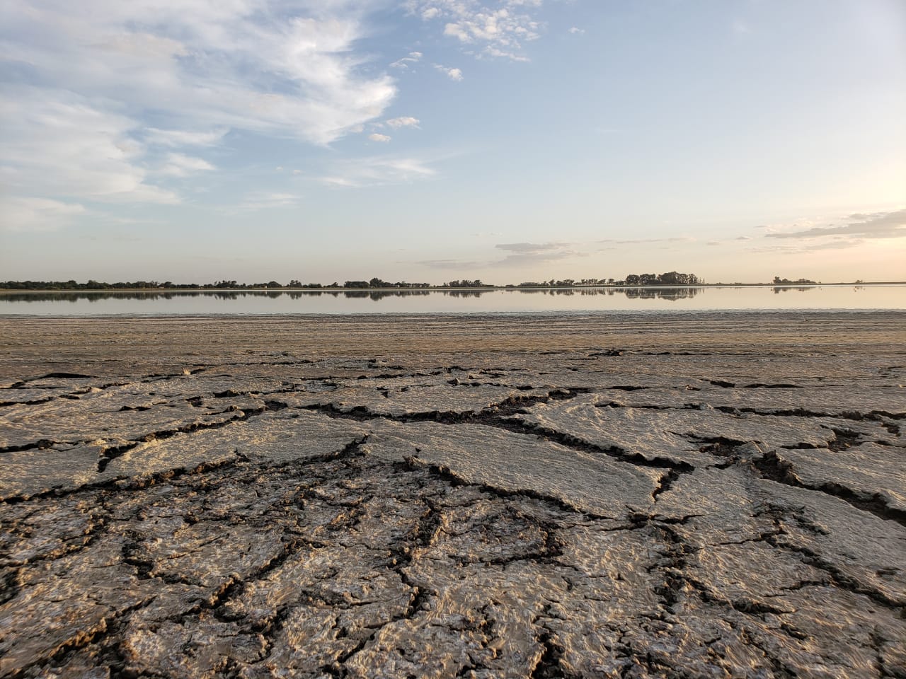Efectos de la sequía: la laguna “Las Lágrimas” de San Eduardo se quedó sin agua