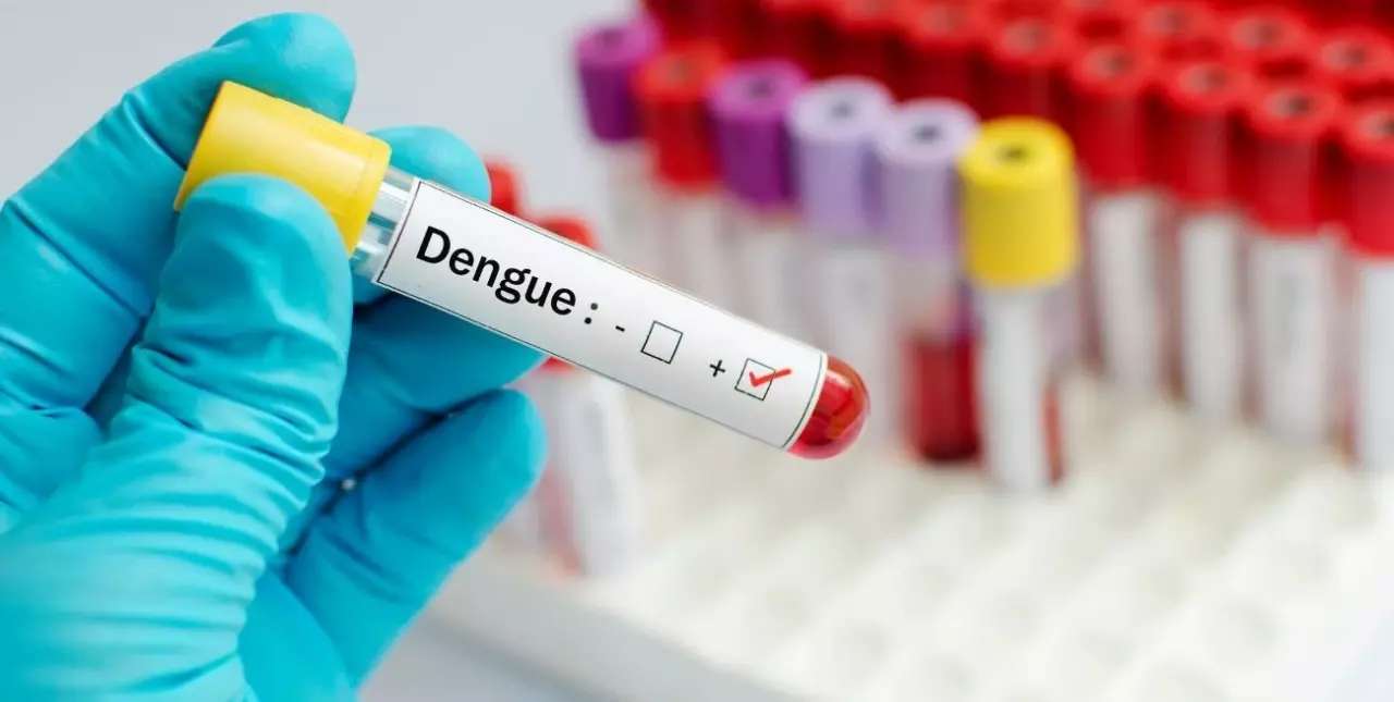 Dengue: hay casos en todos los departamentos de la provincia