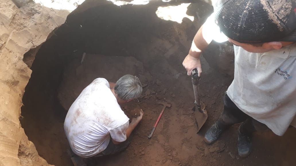 Hallan restos de un gigantesco perezoso de 8 mil años de antigüedad en Venado