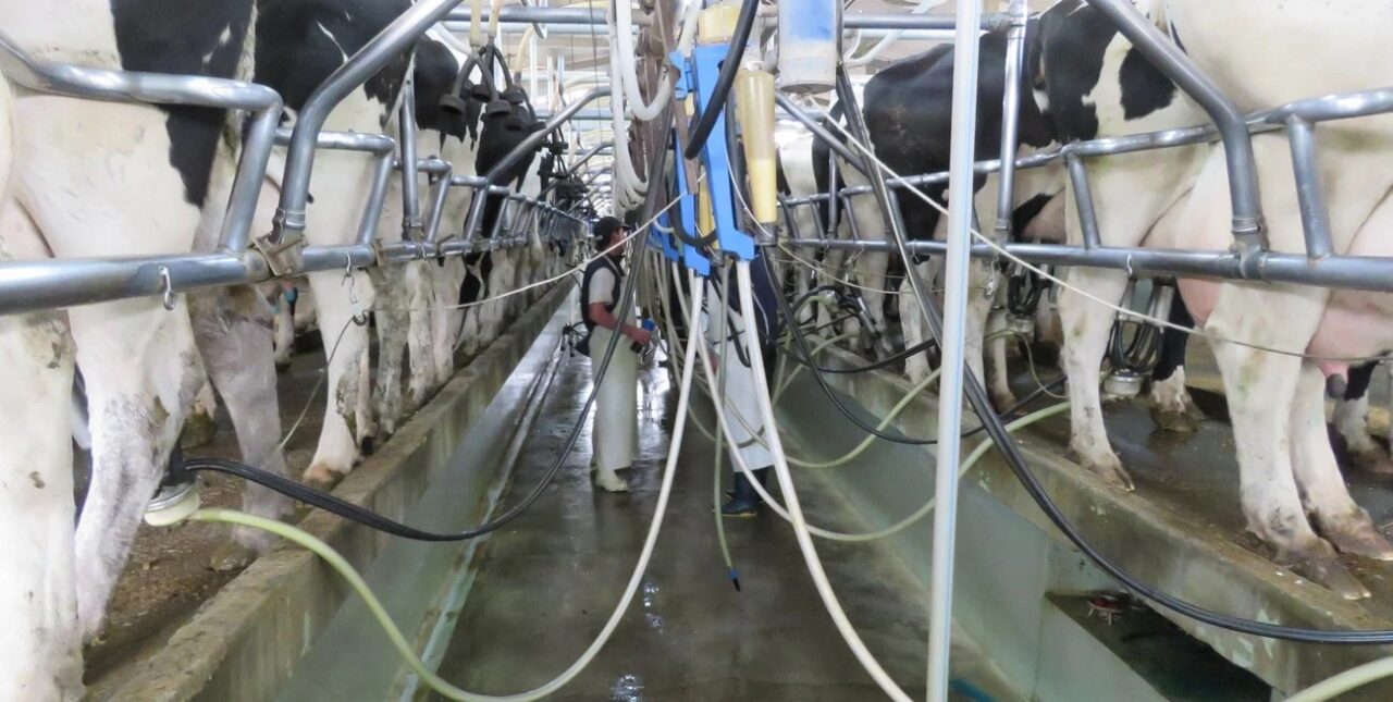 Perotti, Schiaretti y Bordet piden que la lechería sea economía regional