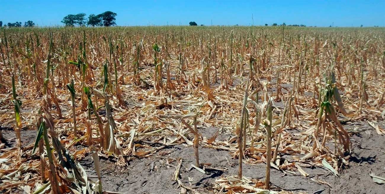 General López perdió casi dos millones de toneladas de granos por la sequía