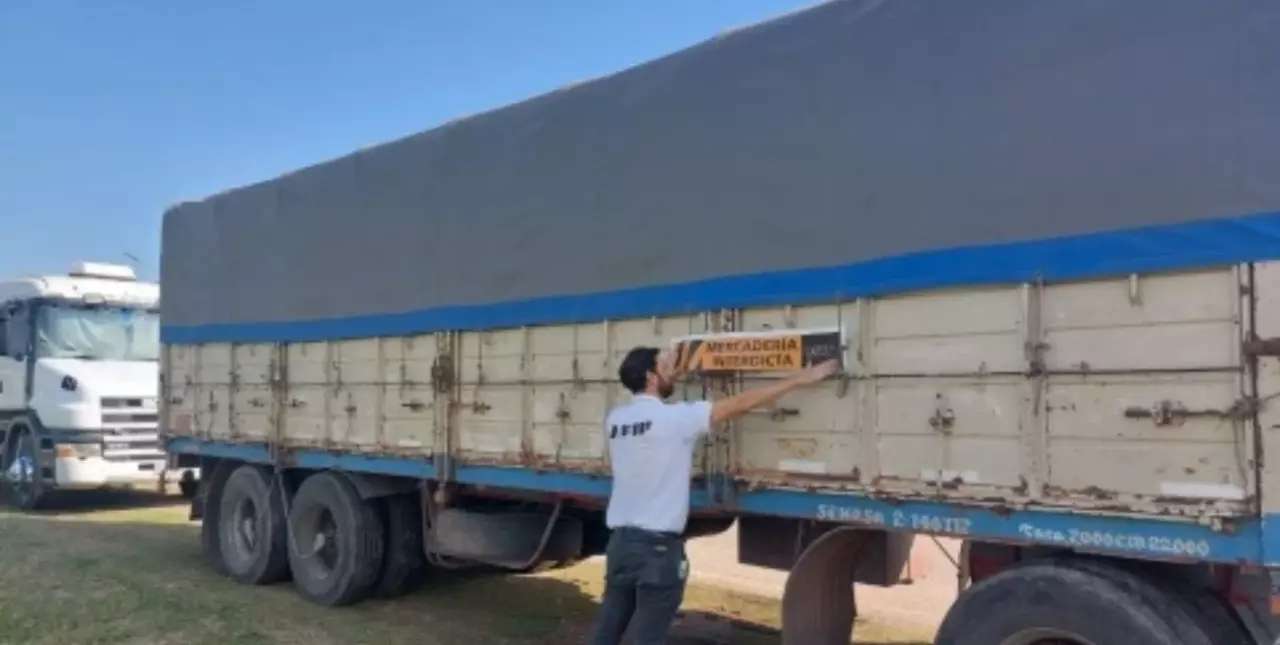 AFIP incautó tres camiones con maíz que circulaban con documentación falsa