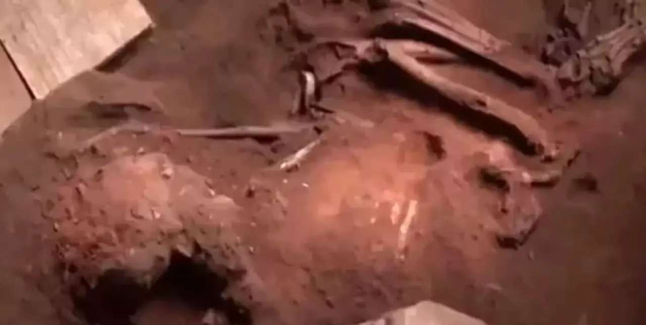 Descubren fósil humano de 12.000 años en Brasil