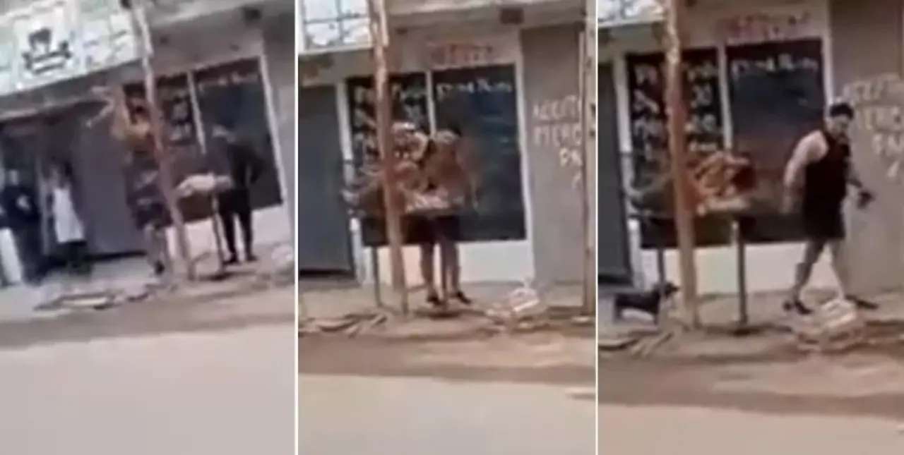 Video: le robaron la bicicleta, persiguió al ladrón, lo golpeó y lo metió en un cesto de basura