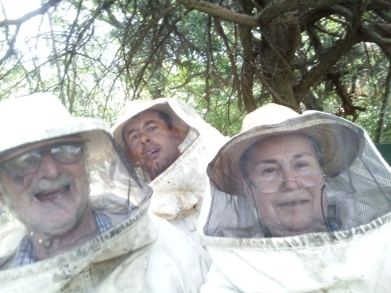 Producción de miel en Rufino: conciencia y armonía con la naturaleza
