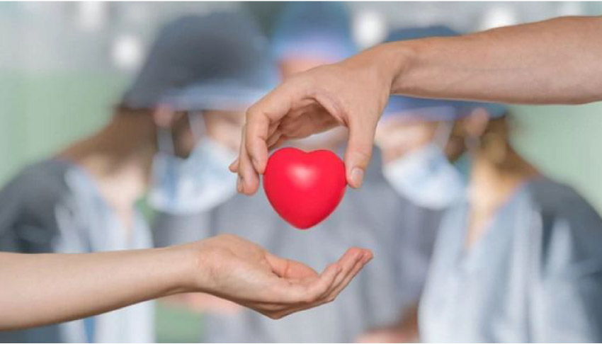 ¿Por qué es tan difícil encontrar donantes de órganos pediátricos?