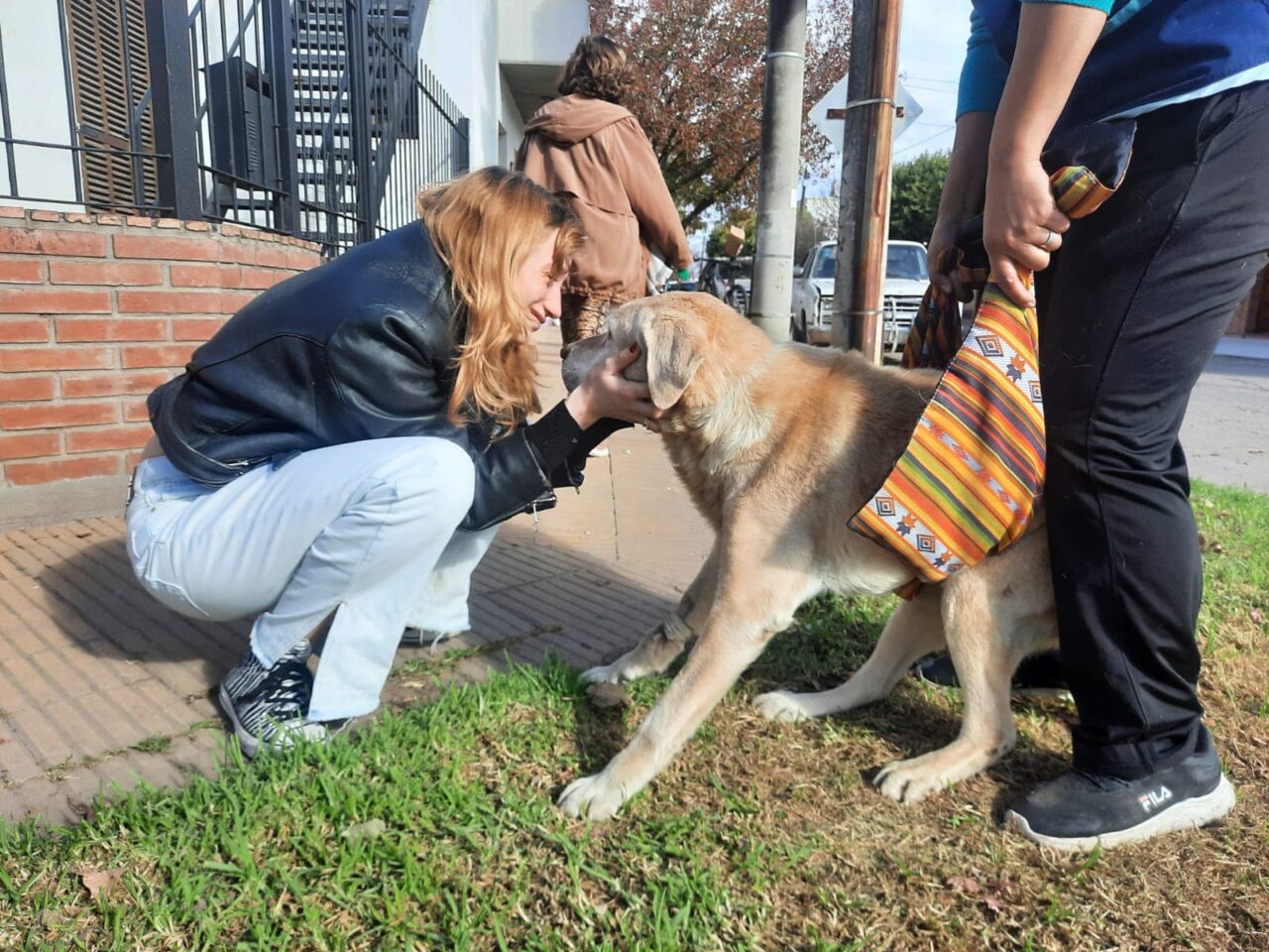 Emocionante: la historia de Shastir, el perro que luego de 5 años se reencontró con su familia