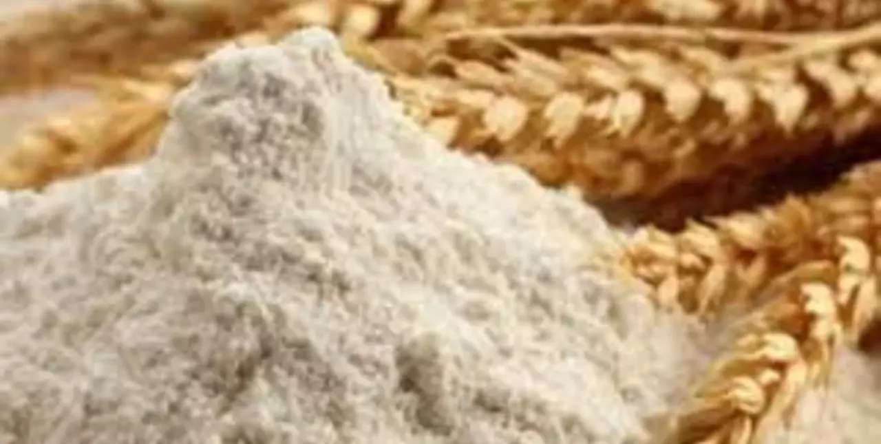 Boletín oficial: aumentan los precios de referencia de la harina común 000