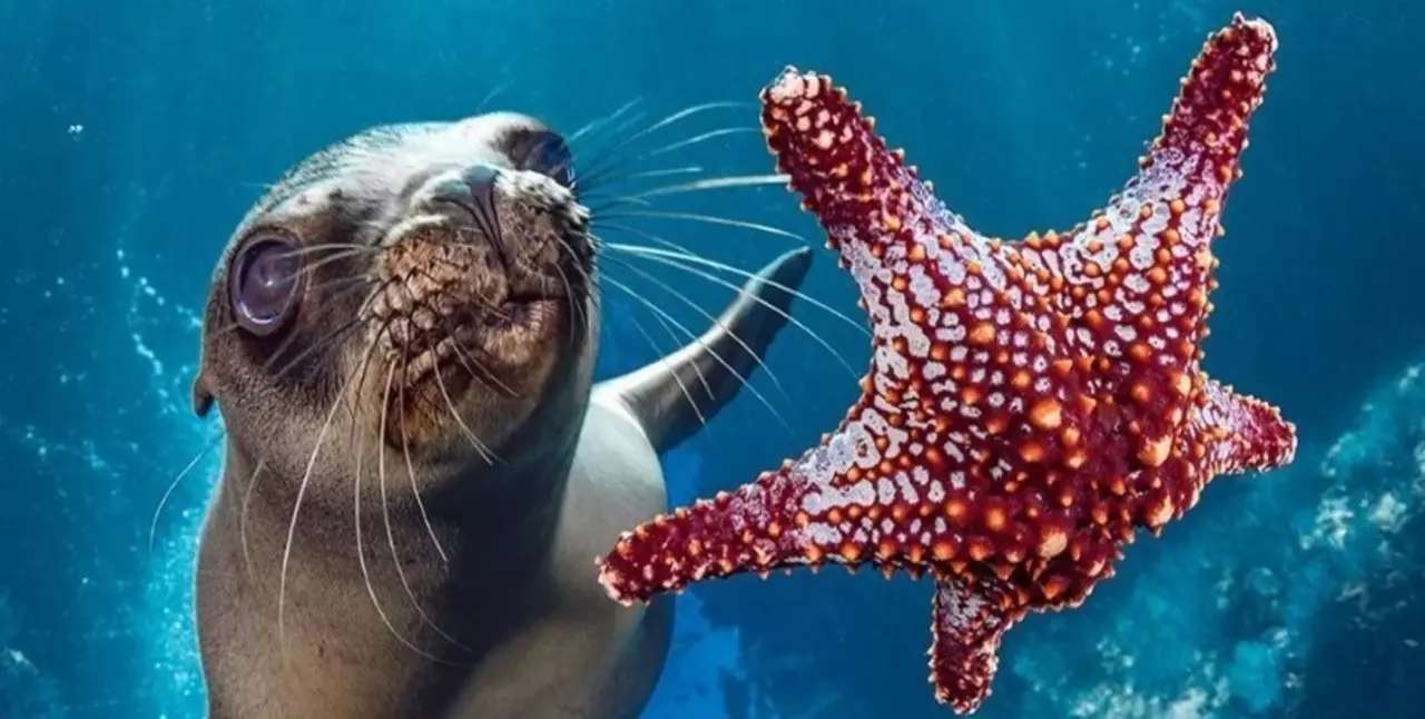 8 de junio, Día Mundial de los Océanos