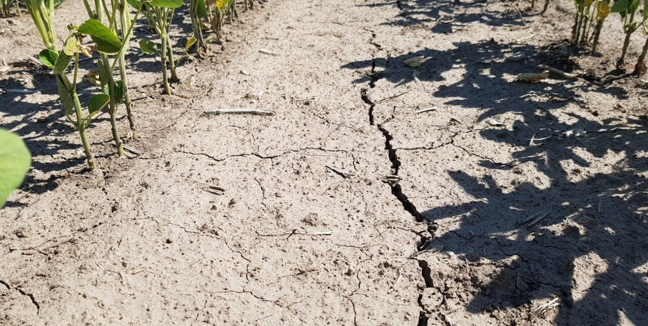 La sequía quintuplicó en Santa Fe los costos que produjo a nivel nacional