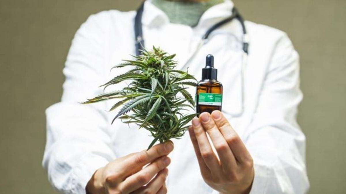 Jornada informativa y de sensibilización sobre Cannabis Medicinal en Venado Tuerto