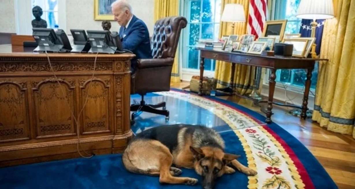 “Commander”: desde la Casa Blanca confirmaron que el perro de Biden mordió a 12 empleados