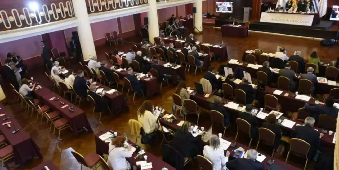 Parlamentarios del Mercosur: las otras candidaturas en las PASO nacionales