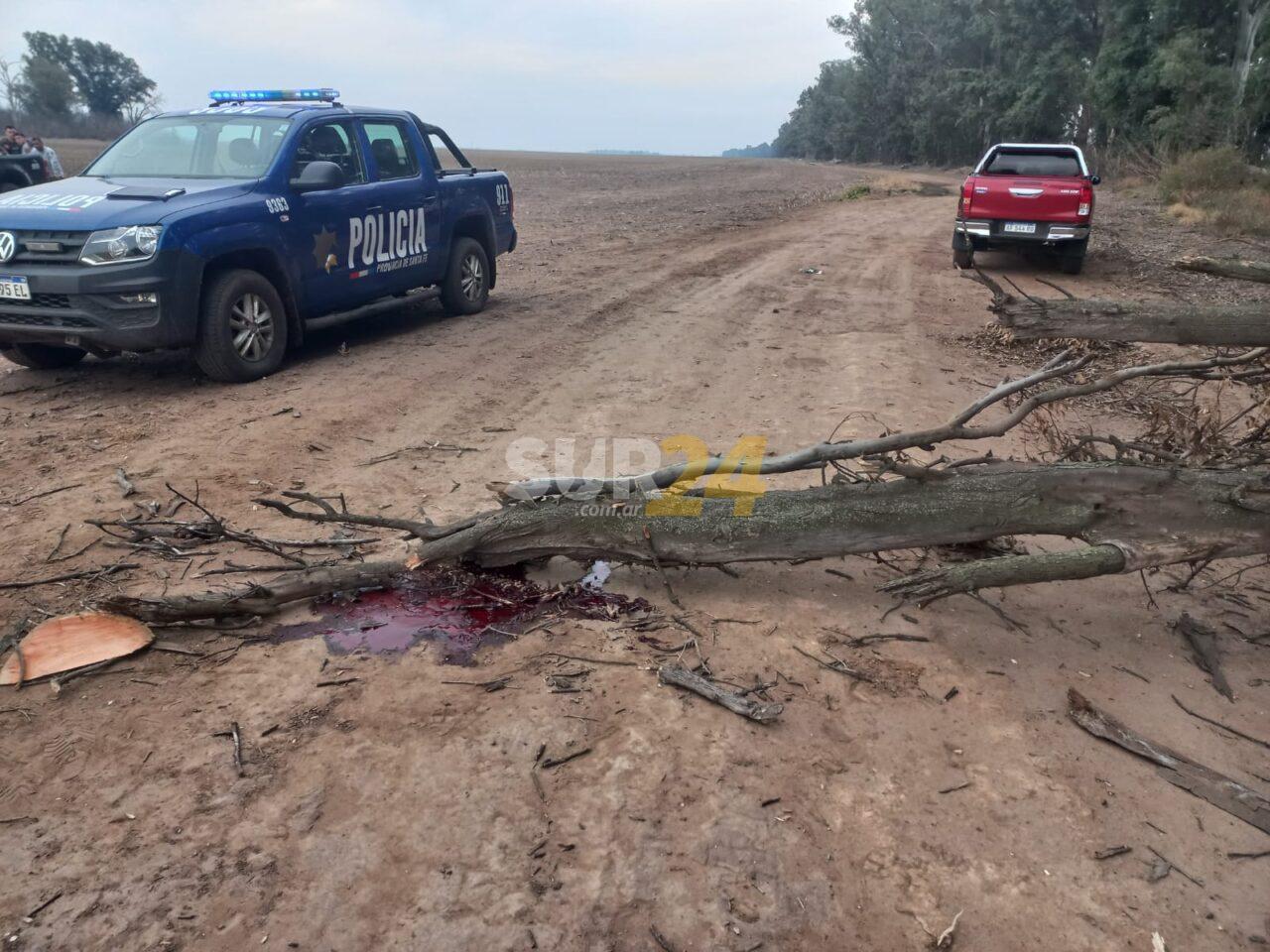 Otra tragedia enluta a Sancti Spiritu: un hombre murió aplastado por un árbol