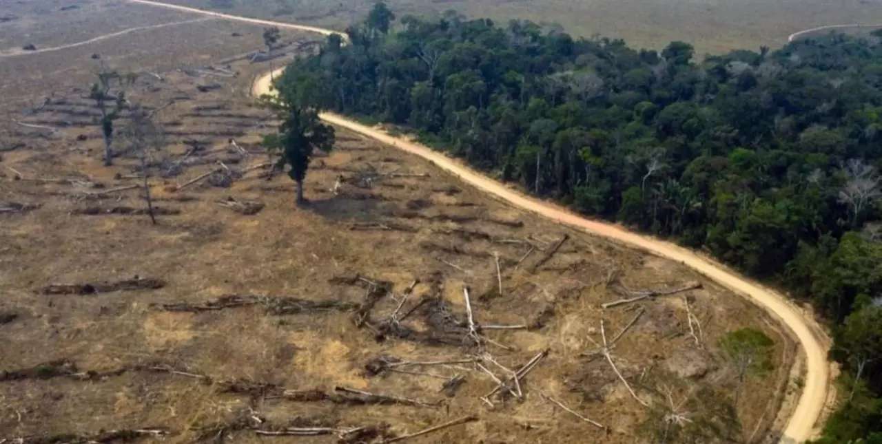 Venezuela: activan plan de reforestación en la Amazonía