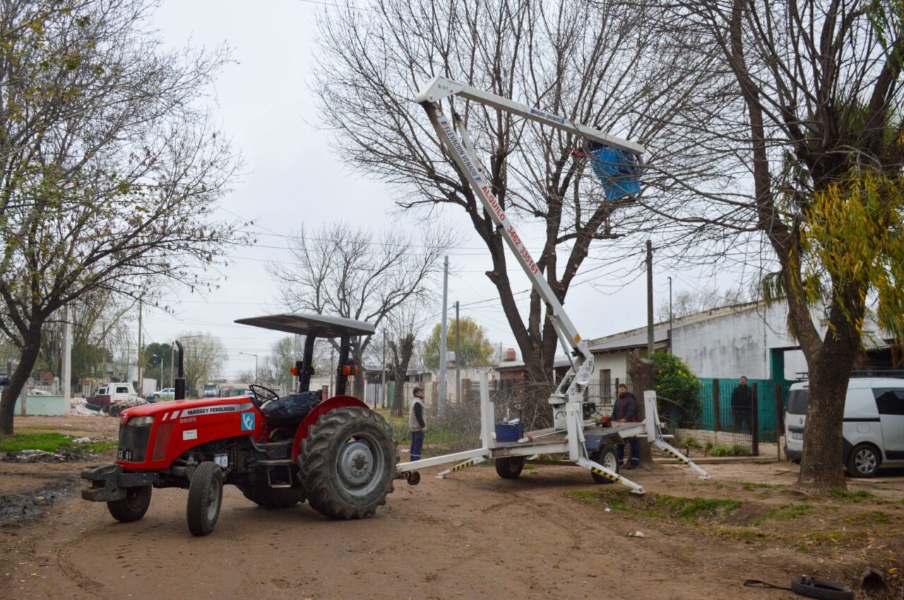 Se intensifican los trabajos de poda y desmalezado en los barrios de Venado Tuerto 