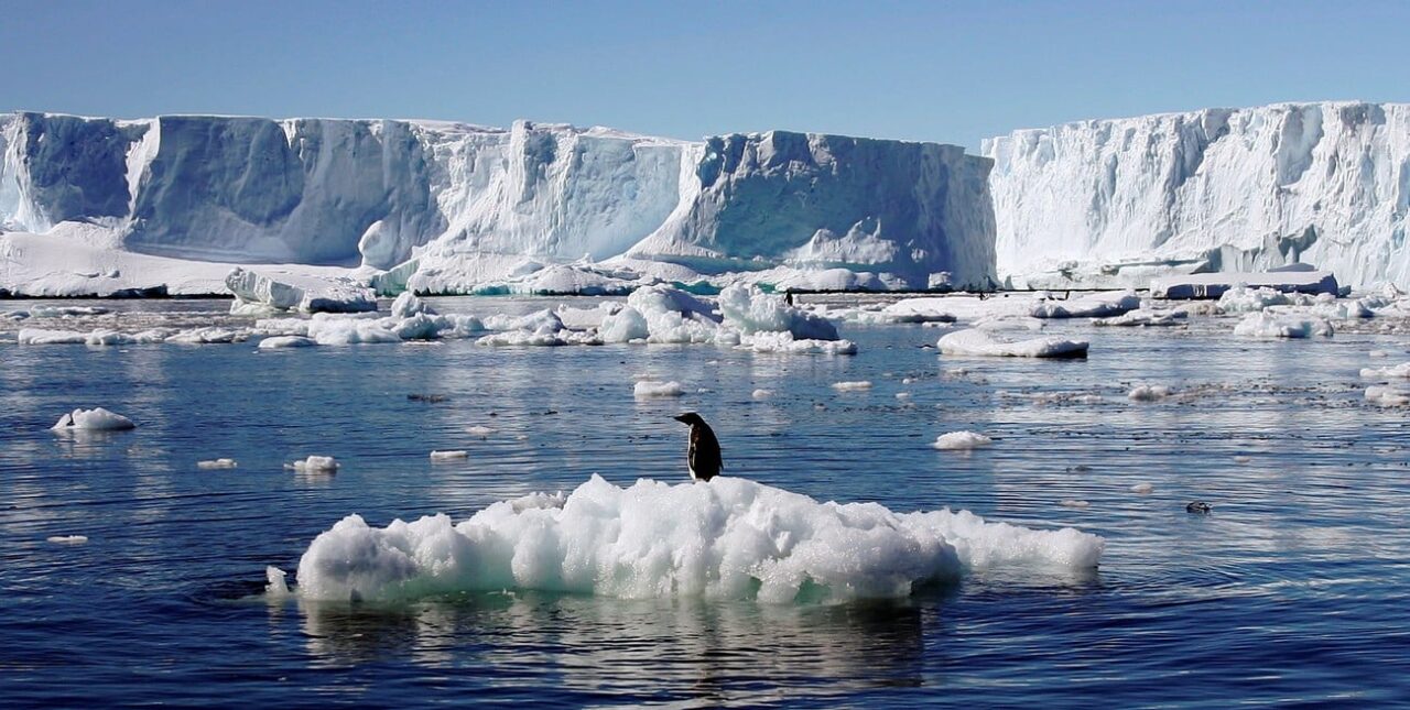 Drástica caída en el volumen de hielo marino en la Antártida