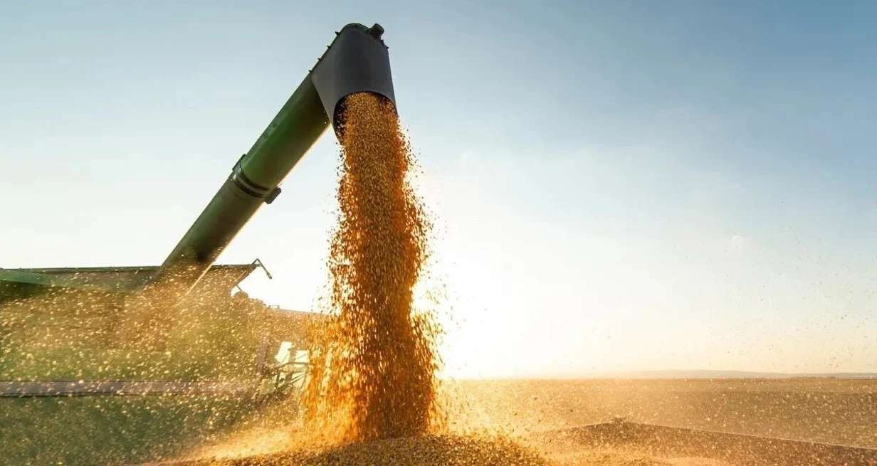 Productores tuvieron un 32% menos de margen bruto con la soja