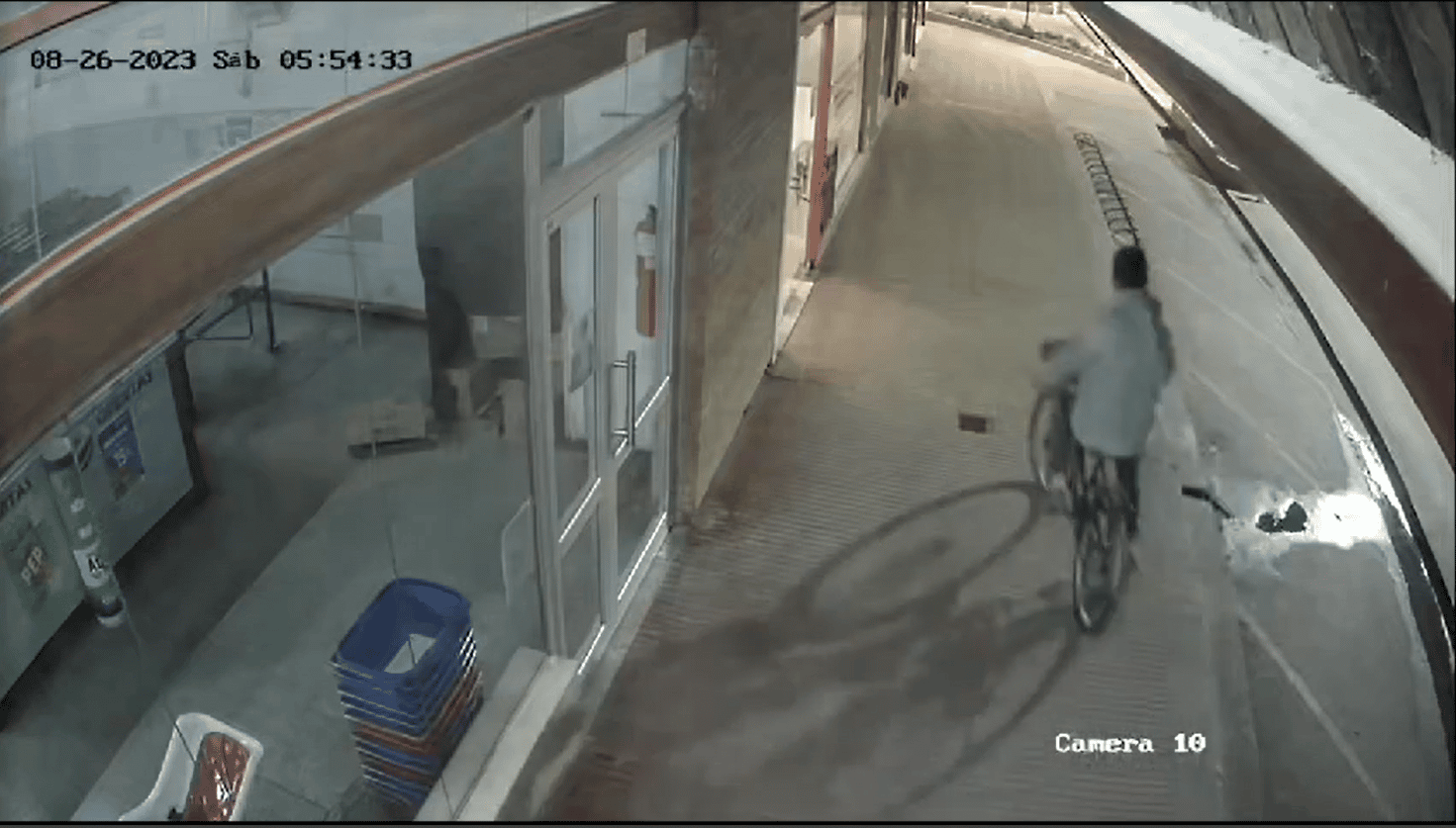 Elortondo: robó una bici y quedó escrachado en las cámaras