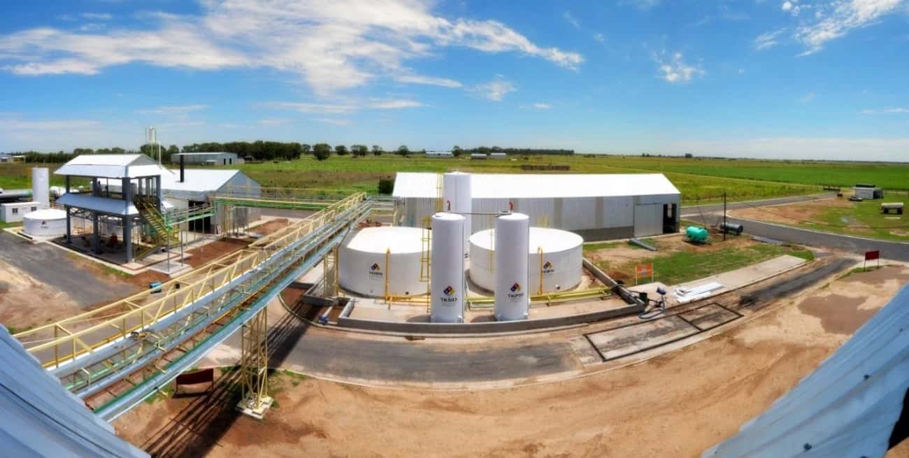 Parálisis de la producción en las 27 fábricas de biodiesel