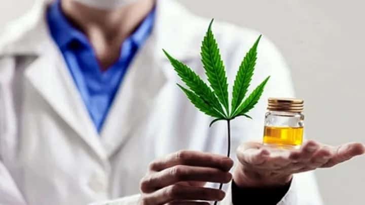 Se abrieron 2 consultorios para adquirir cannabis medicinal en General López