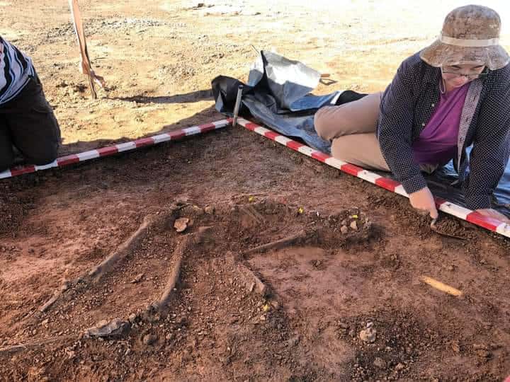 Algunos de los restos humanos hallados. Foto: Armando Senese