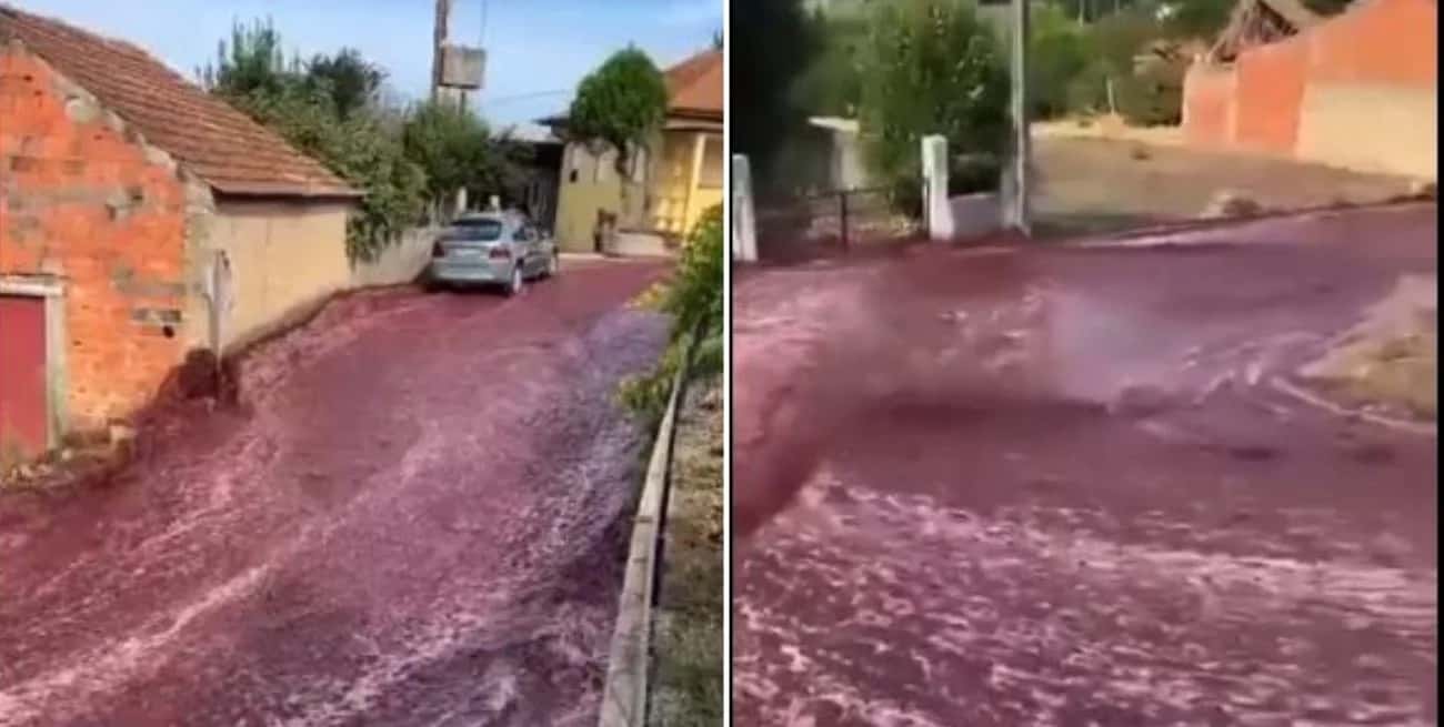 Explotaron dos tanques de vino y tiñeron de rojo las calles de Portugal