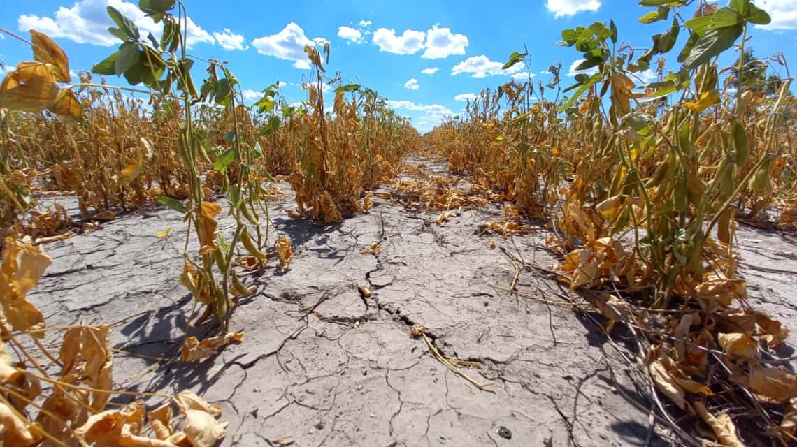 Sequía: Perotti prorrogó la emergencia agropecuaria en toda la provincia