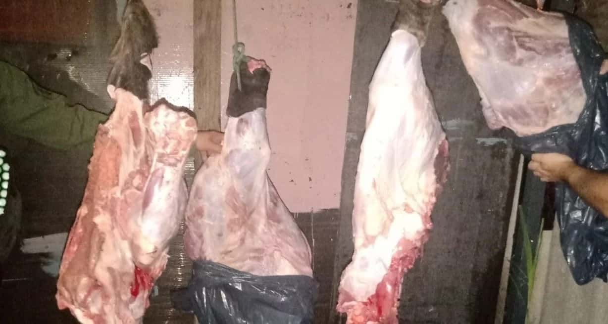 Desvío Arijón: descubrieron a un menor que había faenado 65 kilos de carne vacuna