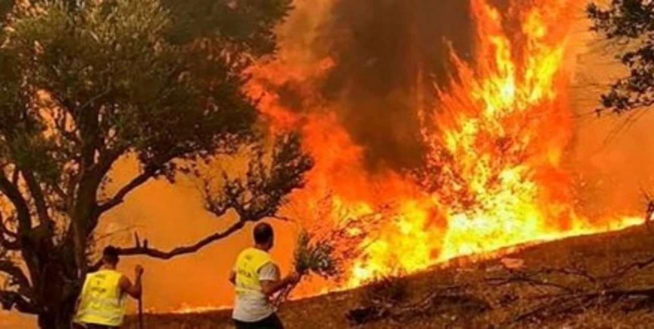 Por los incendios forestales, Argentina aumentó la emisión de gases
