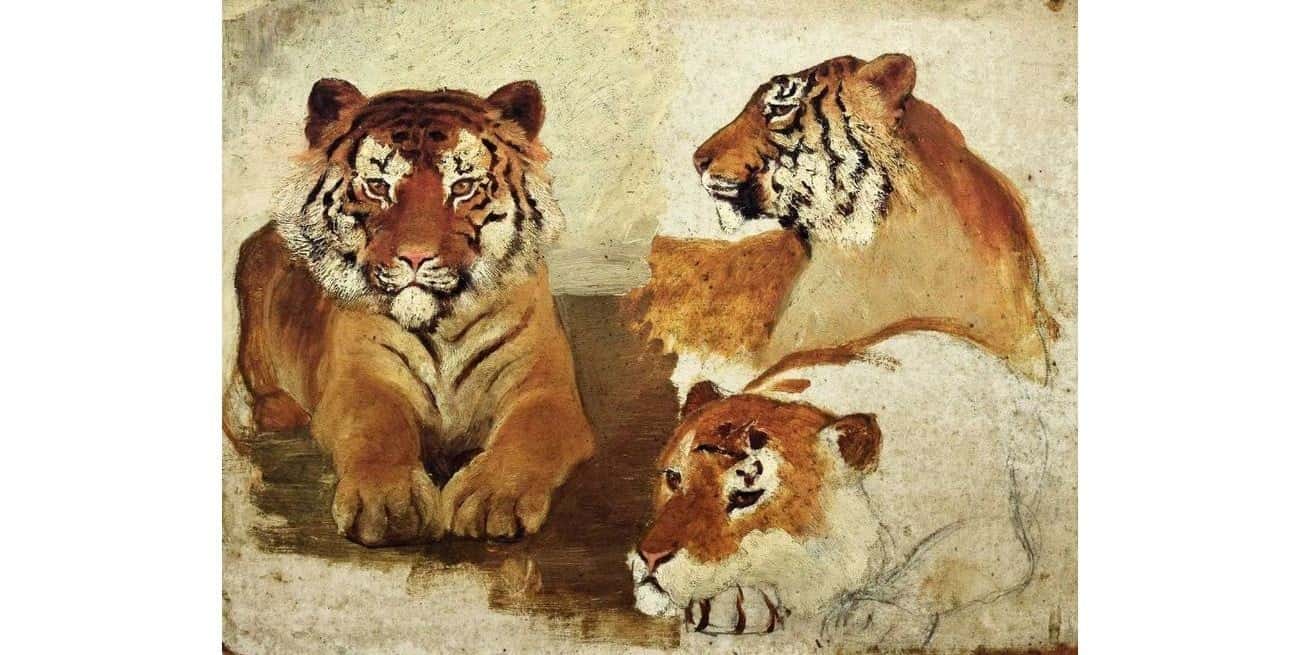 La historia de Julia Wernicke, la pintora olvidada de los animales salvajes