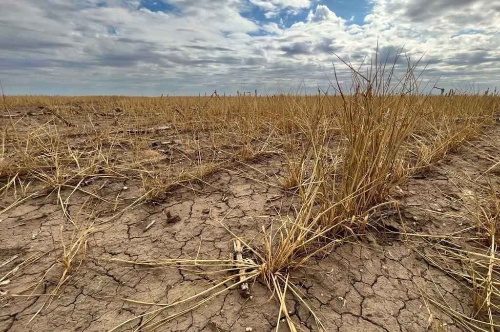 El 90% de la región núcleo sigue bajo sequía