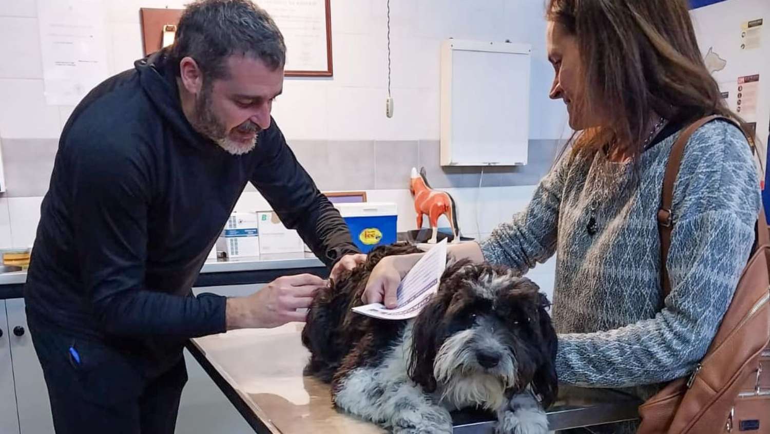 Jornada de vacunación antirrábica: más de 2.300 mascotas inoculadas