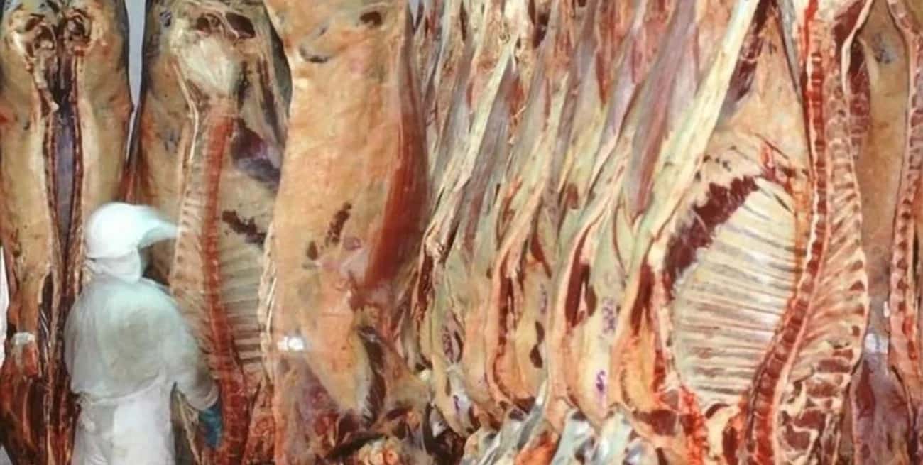 Las exportaciones de carne vacuna registraron, por primera vez en el año, una marcada disminución