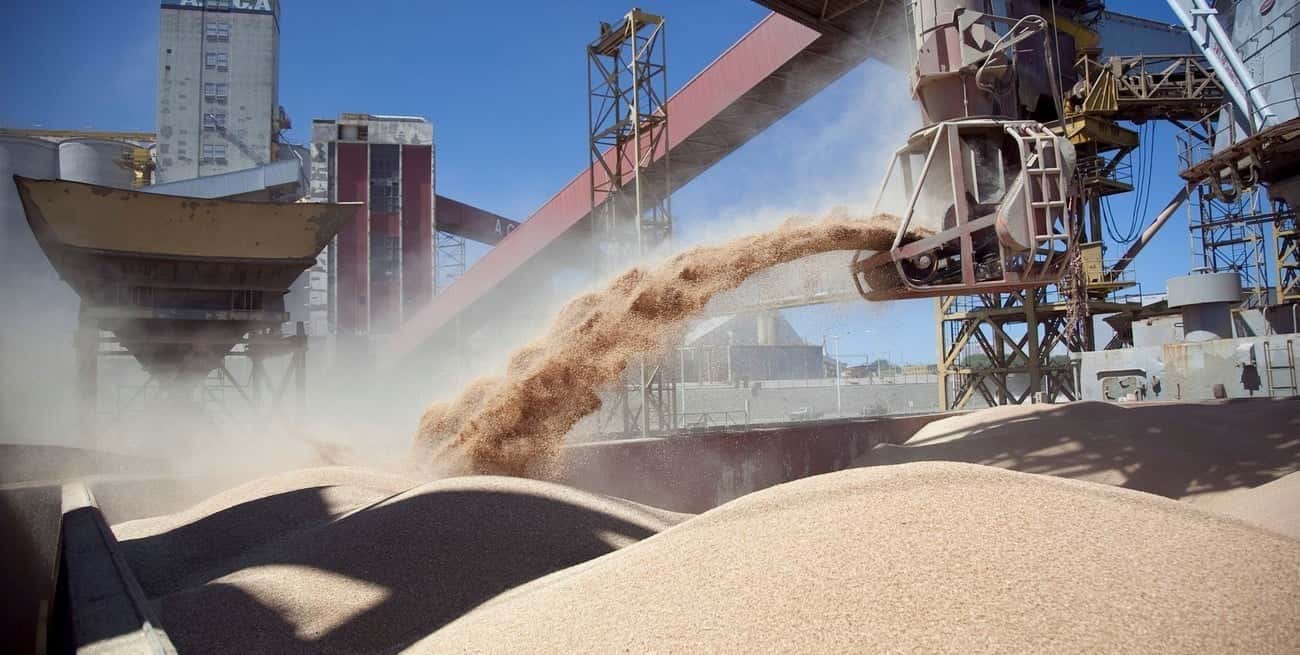 Las exportaciones del complejo sojero subirán un 125% en la próxima campaña