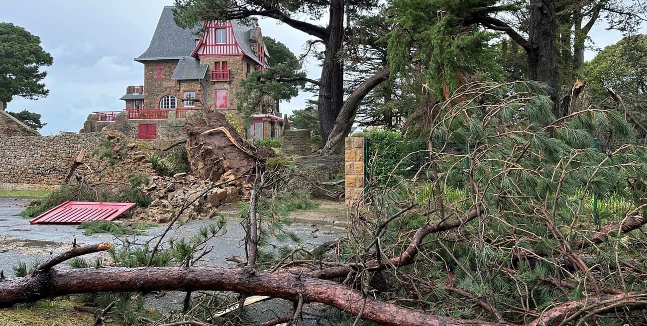 El viento ocasionó daños en la red de distribución eléctrica en el noroeste del país. Crédito: REUTERS.