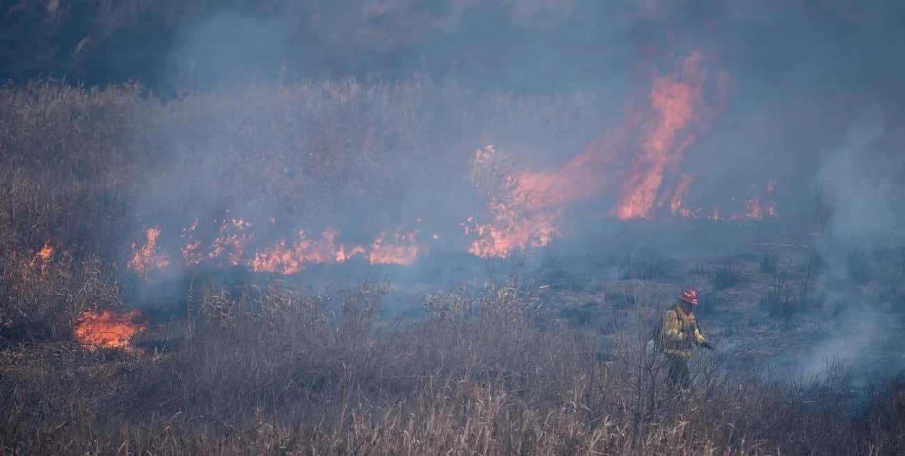 Apicultores santafesinos condenados por un incendio en las islas del Delta del Paraná