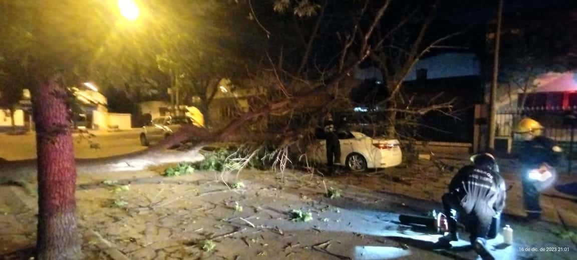 Tormenta en Venado Tuerto: cayó un árbol sobre un auto estacionado