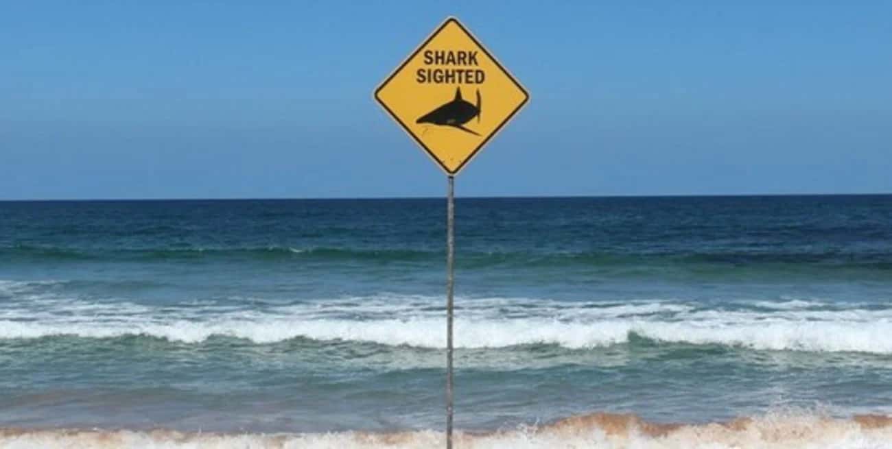 Australia: un tiburón mató a un surfista adolescente