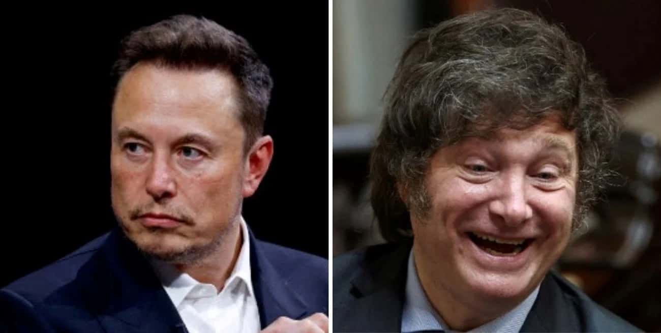 Elon Musk y Javier Milei. Crédito: Reuters