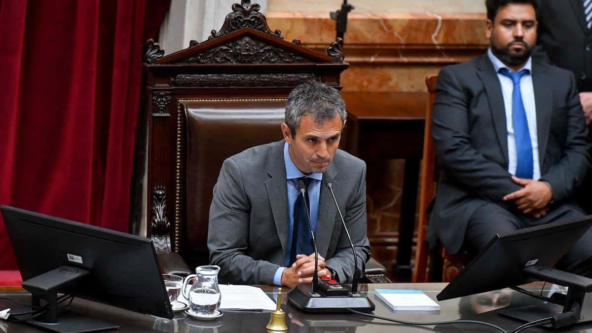 Martín Menem, presidiendo l sesión de la Cámara de Diputados. Foto: Eliana Obregón