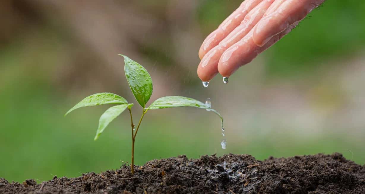 Las prácticas sostenibles mejoran la salud del suelo.