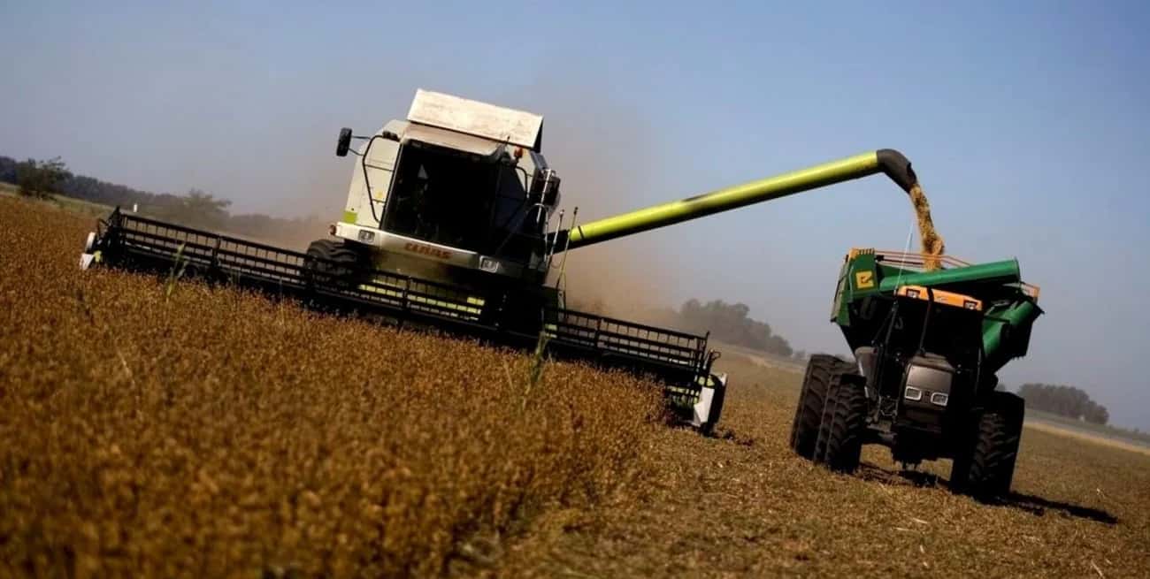 En el caso de la soja, el grano seguirá con el 33%, pero el Gobierno subirá la alícuota del 31 al 33% para la harina y el aceite.