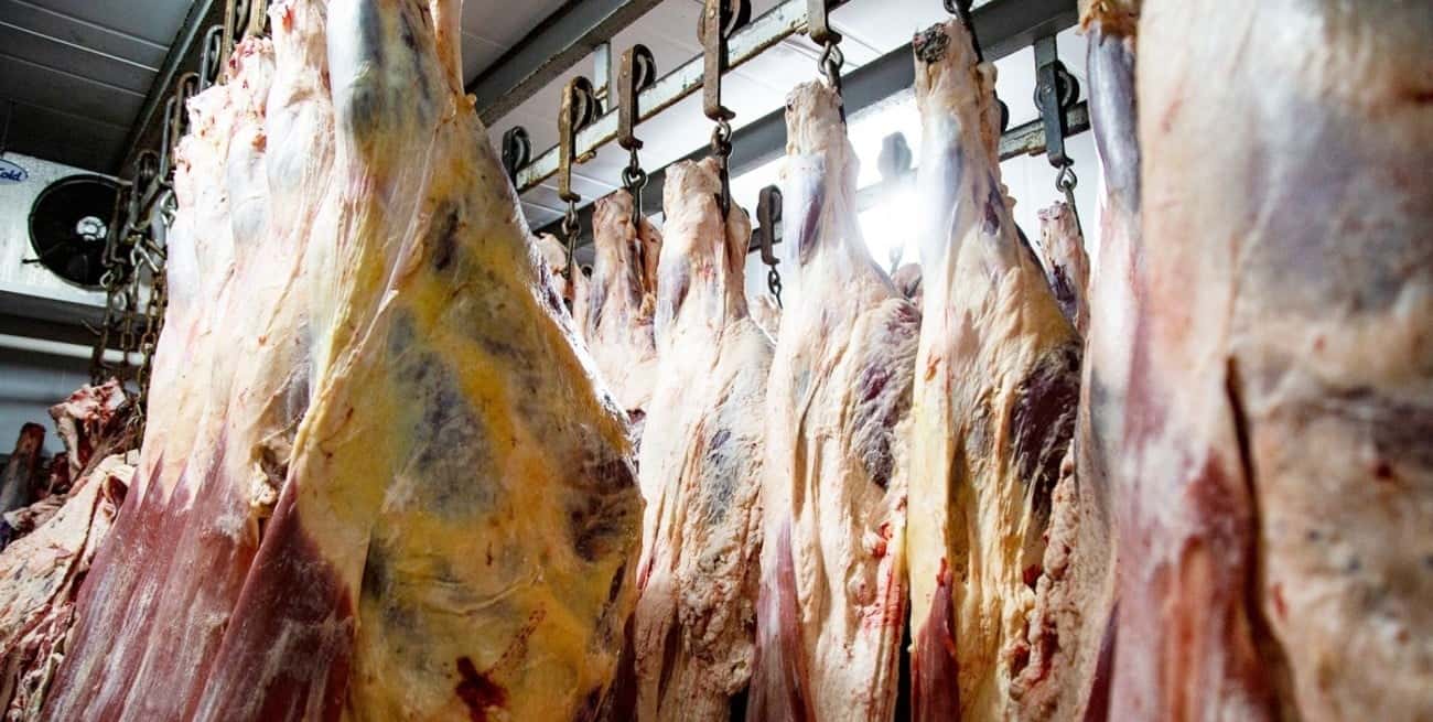 La exportación de cortes bovinos frescos y de los denominados cortes preferidos frescos, enfriados o congelados, no tendrá restricción alguna.