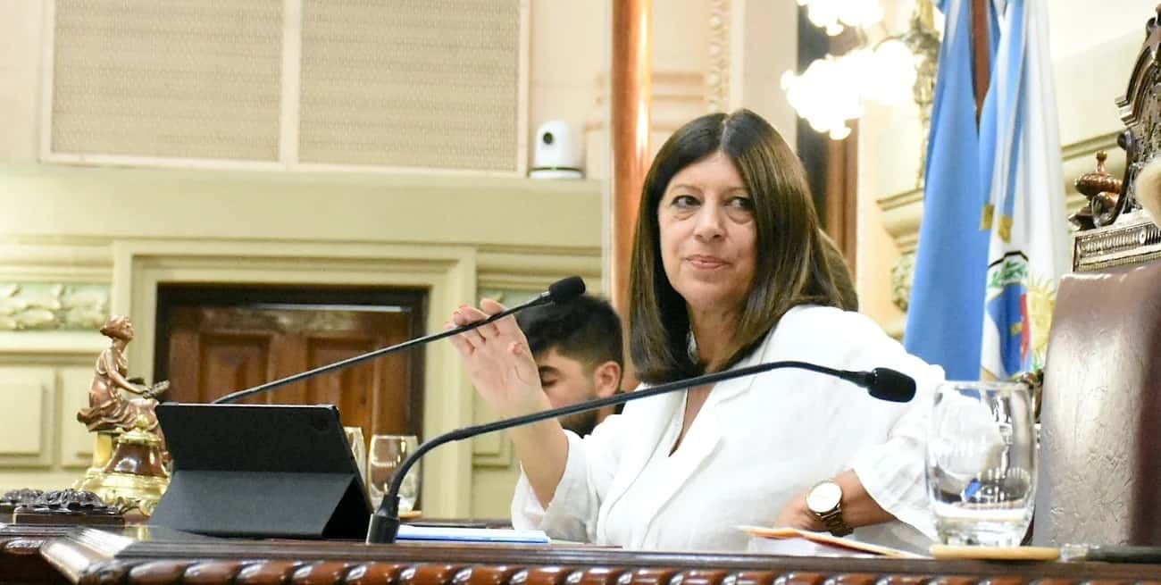 Clara García: “La ley de prosumidores transformará la matriz energética de Santa Fe"