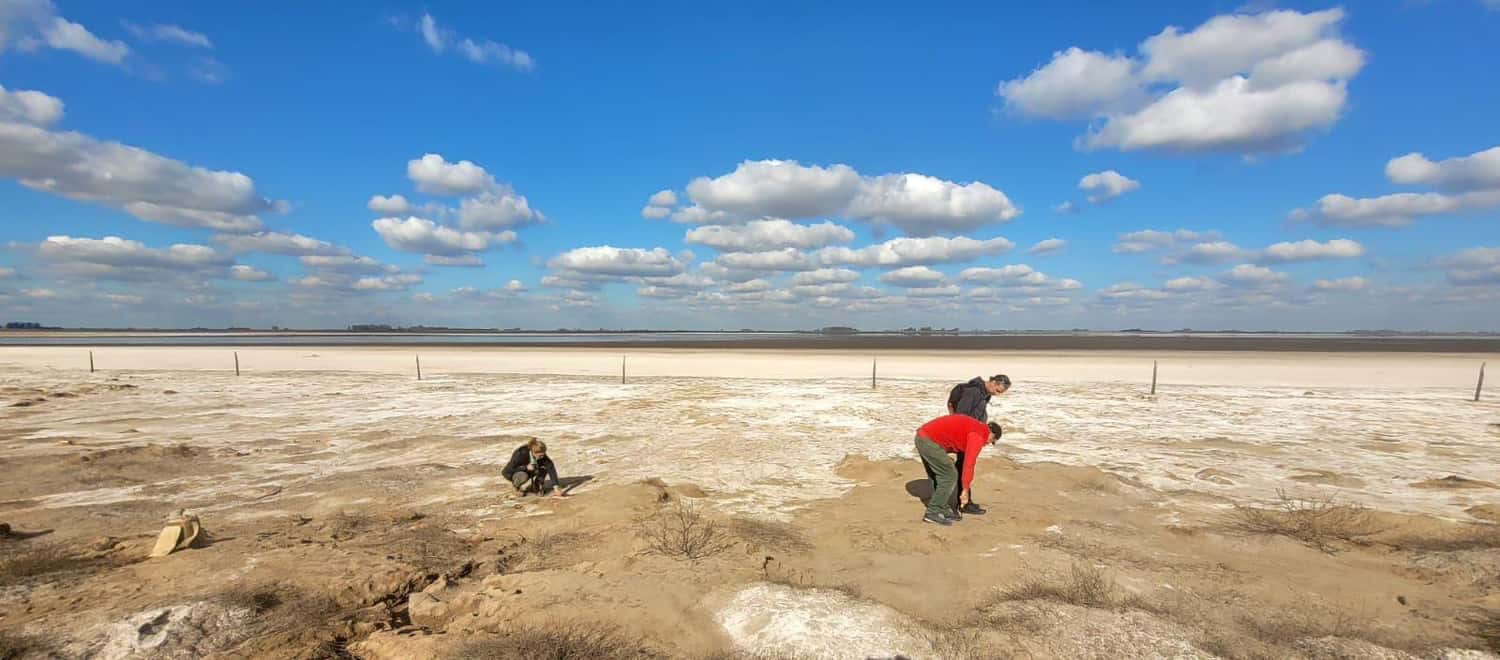 Realizarán una nueva investigación arqueológica en el sur santafesino