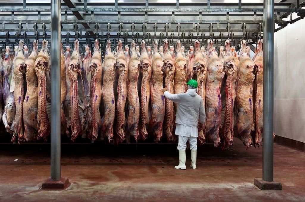 Se liberó la exportación de carne bovina