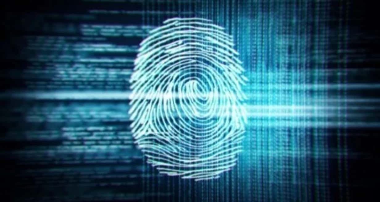 Las huellas dactilares son piezas clave en la criminalística y en la autenticación digital en millones de dispositivos móviles